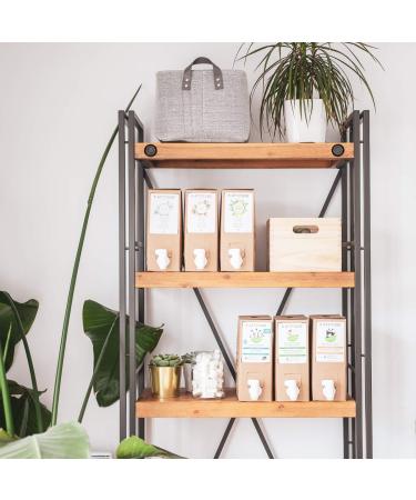 ATTITUDE Volumizing Hair Shampoo - EWG Verified, Vegan & Cruelty-Free, 67.6 Fl Oz Bulk Refill - Buy Online on GoSupps.com