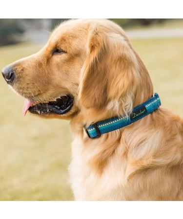 Dazzber Martingale Collars for Dogs - Durable Turquoise Green No Pulling Fits 27.9-38.1 cm Neck Perfect for Small to Medium Dogs - 5/8 Inch Wide - Buy Online on GoSupps.com