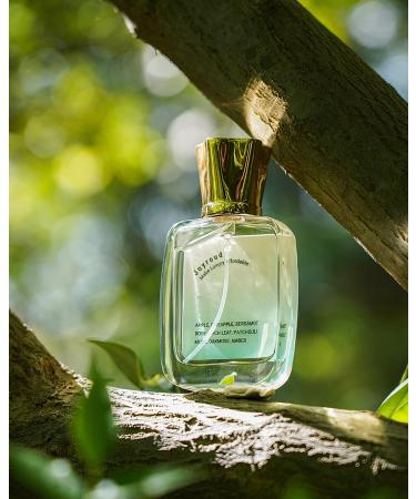 Perfume for Men Eau de Parfum Men Men Fragrance Oil Perfume Musk Perfume Spray - Buy Online on GoSupps.com