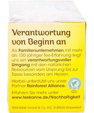  Teekanne GmbH & Co. KG Ginger Lemon Teapot Set of 12 - Buy Online on GoSupps.com