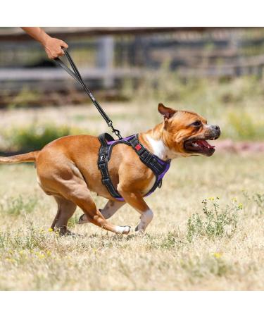 POPOT No Pull Dog Harness - Reflective Pet Vest for Daily Training & Walking | Control Handle | Violet Medium - Buy Online on GoSupps.com