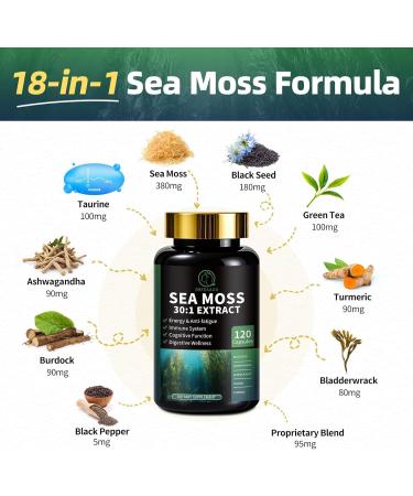 Shilajit for Men Sea Moss and Shilajit Bundle All in 1 Supplements with Coenzyme Q10 Black Seed Ashwagandha Taurine Burdock for Energy Endurance Antioxidant & Immune Support 240 Capsules 120 Count (Pack of 2) - Buy Online on GoSupps.com