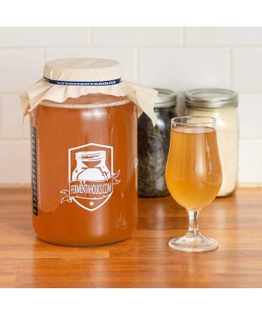 Organic 1-Gallon Kombucha Brewing Starter Kit with SCOBY, Starter Tea, Thermometer, pH Strips & More - Buy Online on GoSupps.com