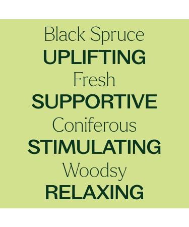 Plant Therapy Black Spruce Essential Oil 10 mL (1/3 oz) 100% Pure Undiluted Therapeutic Grade 0.34 Fl Oz (Pack of 1) - Buy Online on GoSupps.com