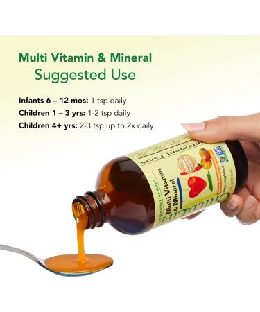 CHILDLIFE ESSENTIALS Kids Multivitamin & Mineral - Kids Vitamins Liquid Multivitamin for Kids Toddler Multivitamins Liquid Vitamins Baby Multivitamin - Natural Orange & Mango 8 Fl Oz (Pack of 4) Orange Mango 8 Fl Oz (P  - Buy Online on GoSupps.com
