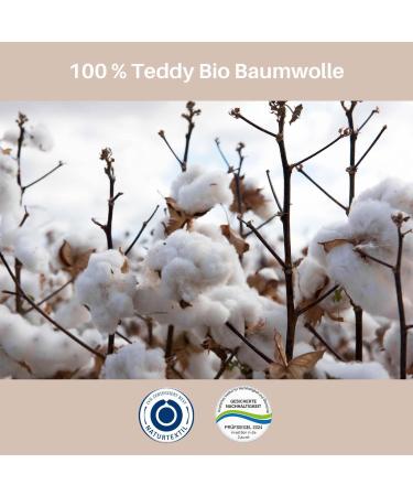 Buy Kontor28 Cuddly Teddy Hot Water Bottle - 100% Organic Cotton Handmade in Germany Leak-Proof & Odorless - Perfect for Kids & Adults - 0.2 Liters - Buy Online on GoSupps.com