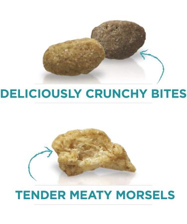 Purina ONE Tender Selects Blend Adult Dry Cat Food - High-Quality Nutrition for Cats - Buy Online on GoSupps.com