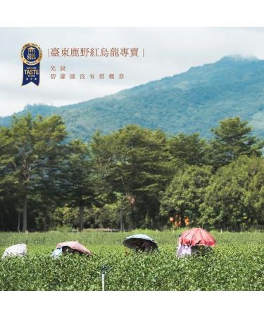 Taiwan Red Oolong Tea Biluoyuan Mature Fruit Taste Red Oolong Tea 150g x 4 - Buy Online on GoSupps.com