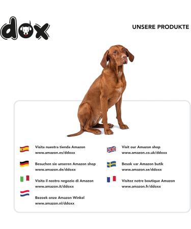 Ddoxx Reflective Nylon Dog Leash - Bite-Proof Roller Leash with Lock System | XS 3m for Dogs Up to 8kg - Black - Buy Online on GoSupps.com