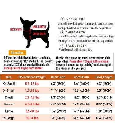 LOPHIPETS Dog Cotton Hoodie for Small Chihuahua Puppy - Cambridge Blue, XXS (0.5-1.2 lbs) - Cold Weather Coat - Buy Online on GoSupps.com