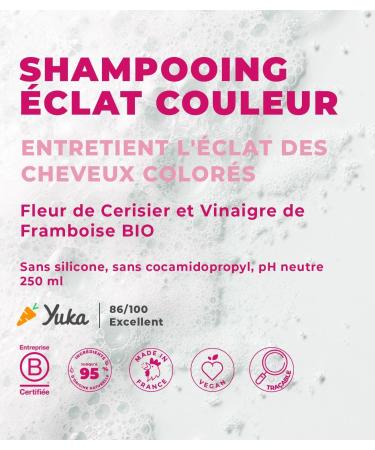 ENERGIE FRUIT | Sulfate-free Shampoo | Cherry Blossom & Organic Raspberry Vinegar | Colored & Highlighted Hair | Vegan | 250 ml - Buy Online on GoSupps.com