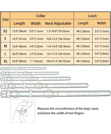 Senristar Personalized Reflective Dog Collar & Leash Set | Custom Engraved for Small Medium Large Dogs & Cats | Black M Size (2.0 cm Width 28-36 cm Neck) - Buy Online on GoSupps.com