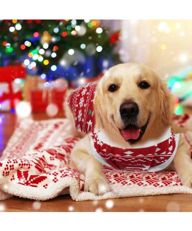 Buy Hipet Recovery Suit for Dogs & Cats - Post-Operation Healing Prevent Licking XS Size for Christmas - Buy Online on GoSupps.com