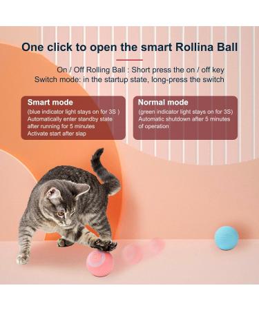 2PCS wloom cat Ball 2.0 Power Ball 2.0 cat Toy Peppy pet Ball for Dogs Cat Interactive Hunting Cat Toy Intelligent 360 Degree Active Moving Pet Ball Toy Rolling Smart Electronic Dog Cat Ball Toy - Buy Online on GoSupps.com