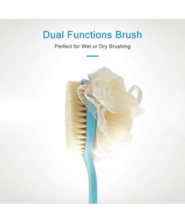 Long Handle Shower Body Brush with Comfy Bristles and Loofah for Skin Exfoliating - Blue - Buy Online on GoSupps.com