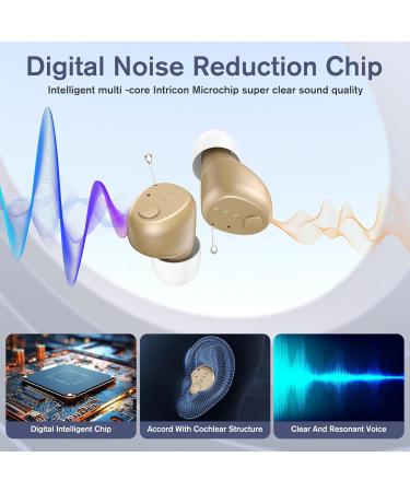 Rechargeable Gray Behind-Ear Sound Amplifier with LED Power Display & Noise Suppression | International Shipping Available - Buy Online on GoSupps.com