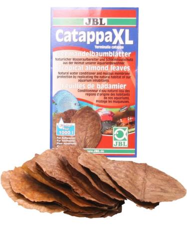 JBL Catappa 25198 - 10 XL Tropical Almond Leaves for Freshwater Aquariums | International Shipping Available - Buy Online on GoSupps.com