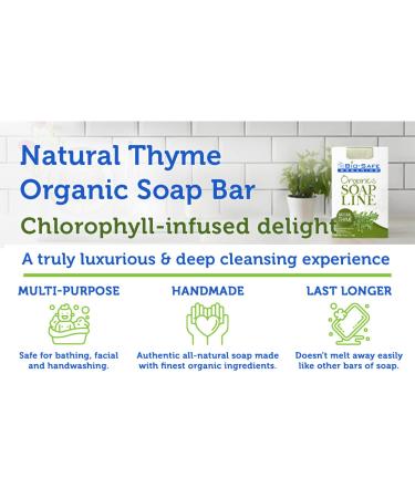 Natural Thyme Organic Soap Bar | Exfoliating Plant-Extract Body & Shampoo Soap | Handmade Moisturizing Aromatherapy | GMO-Free SLS-Free | USA Made - 4 oz by Bio-Safe Organics - Buy Online on GoSupps.com