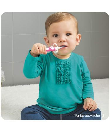 Mam Learn to Brush Set - Baby Toothbrush for 5+ Months | Long Handle Children's Toothbrush in Pink | Ideal for Training Good Oral Hygiene - Buy Online on GoSupps.com