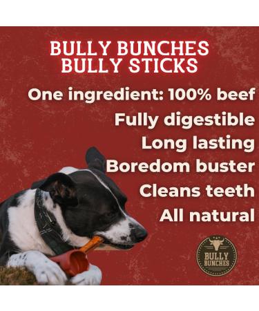 Bully Bunches All Natural Braided 6 Inch Bully Sticks Odour Free Rawhide Free Chemical Free Safe Long Lasting Thick Beef Dog Chew Gnaws Fully Digestible Treat for Small and Medium Dogs 5 Pk 50 g (Pack of 1) - Buy Online on GoSupps.com