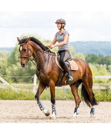 Free Gaiters & String Caps Set - 4 Neoprene Horse Tendon Protectors for Jumping Riding & Dressage - Buy Online on GoSupps.com