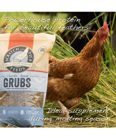 Cluckin' Good Grubs for Chickens - Natural Protein and Calcium Supplement - USA Grown Black Soldier Fly Larvae 3.5 lb - Buy Online on GoSupps.com