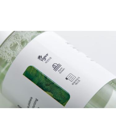 Green Salvia Treatment Toner | Vegan Korean Skincare | Hydrating & Soothing for All Skin Types | Redness Relief (150ml - Buy Online on GoSupps.com