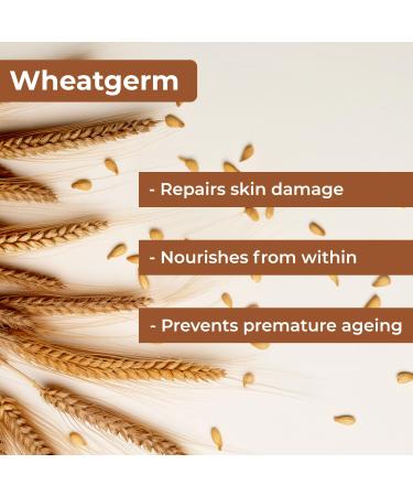 Good Vibes Nourishing Night Cream Wheatgerm (100 G) - Buy Online on GoSupps.com