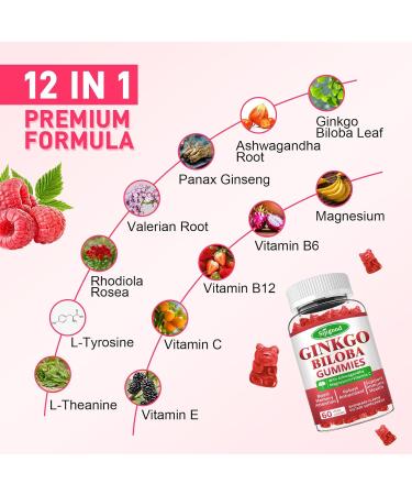 2 Pack Ginkgo Biloba Gummies with Panax Ginseng and Magnesium Ginkgo Biloba Supplements for Focus Memory and Brain Health for Adults & Kids Vegan Raspberry Flavor Gummies 120 Count 60 Count (Pack of 2) - Buy Online on GoSupps.com
