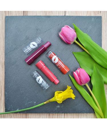 SANTE Natural Cosmetics Smooth Color Kiss Soft Red - Tinted Lip Balm | Moisturizing & Fruity Fragrance (1x5g) - Buy Internationally - Buy Online on GoSupps.com
