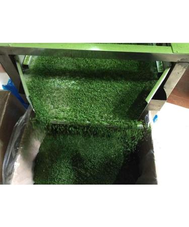 Aonori Ulva Lactuca Seaweed Green Seaweed Flakes 500g/bag - Buy Online on GoSupps.com
