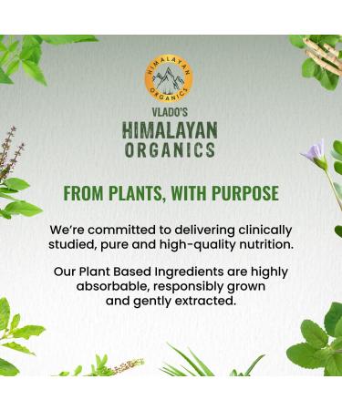 Himalayan Organics Organics Plant Based Biotin 10000Mcg for Longer Hair Growth | Glowing Skin and Longer Nails Supplement | for Men and Women - 120 Veg Capsules - Buy Online on GoSupps.com