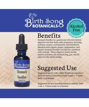 Birth Song Botanicals Stomach Soother Tincture Herbal Digestion Support Supplement for Upset Stomach & Motion Sickness Herbal Digestive Aid Supplement, Alcohol Free, 1 oz - Buy Online on GoSupps.com