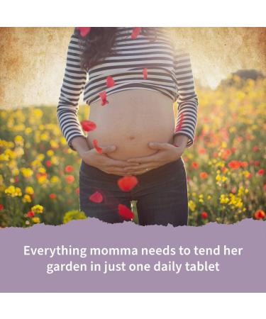 Garden of Life Organics Prenatal Vitamin: Folate for Energy & Healthy Fetal & Oceans Mom Prenatal Fish Oil DHA Omega 3 Fish Oil Supplement - Strawberry - Buy Online on GoSupps.com