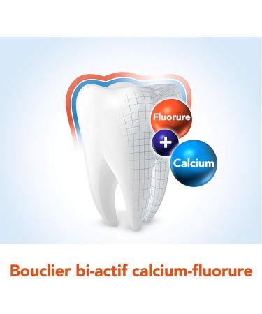 Elmex Toothpaste 4 Pack (4 x 75 ml) Trusted Oral Care for Healthy Teeth | International Shipping Available - Buy Online on GoSupps.com