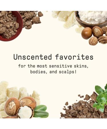 Alaffia Everyday Shea Unscented Body Lotion | Nourishing & Natural Moisturizer | International Shipping Available - Buy Online on GoSupps.com