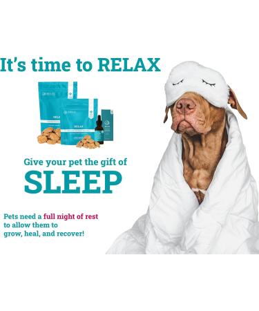 Relax Pet Supplement for Dogs/Canines - Chews (Small Breed) 100g | Calming Hemp Supplement | Stress and Anxiety | Over-Excitement | Travel Sickness | Depression | Separation Anxiety - Buy Online on GoSupps.com