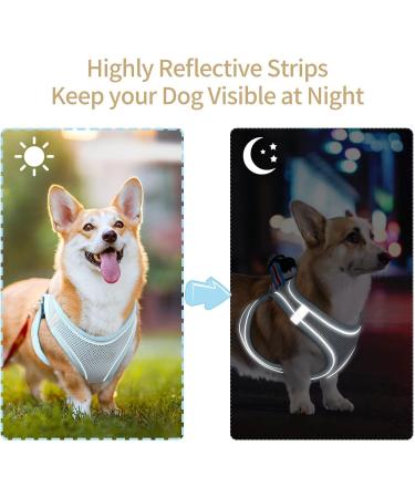 Buy Heele Adjustable Reflective Dog Harness - Soft Mesh Breathable for Small & Medium Dogs Blue (1 Pack) - International Shipping Available - Buy Online on GoSupps.com