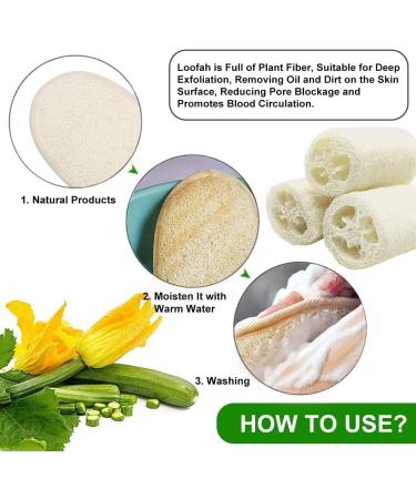 10 Pcs Natural Exfoliating Facial Loofah Scrubbers - Reusable Face Exfoliator Pad for Men and Women - Buy Online on GoSupps.com
