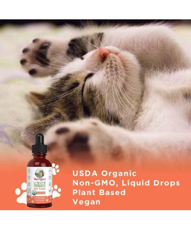 Organic Cat Probiotic Supplement for Digestive & Gut Health - Vegan, Non-GMO, Gluten Free | 4 Fl Oz - Buy Online on GoSupps.com