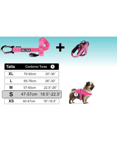 Shop Bike and Dog Leash & Harness Set - Patented Pink Dog Gear for Cycling | Perfect Bicycle Accessories for Dog Lovers - Buy Online on GoSupps.com