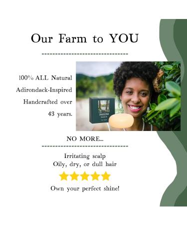 Adirondack Mountain Air Natural Shampoo Bar - Vegan Sulfate-Free Eco-Friendly Solid Hair Cleanser for Normal & Oily Hair (2.5 Oz - Buy Online on GoSupps.com