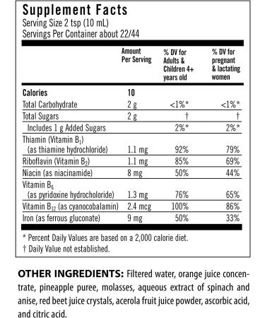 Flora Iron with B-Vitamin Complex | 15 fl oz (445 ml) - Boost Your Energy & Wellness - Buy Online on GoSupps.com