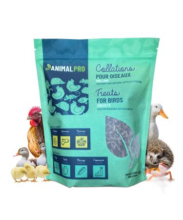 AnimalPro Crickets for birds 454 g - 1 LB