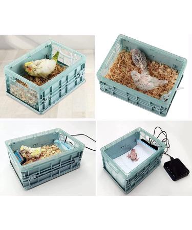 2 Gallon Manual Incubator for Birds, Parrots, and Small Animals with Thermostat - Ideal for Breeding, Hatching Bird Eggs, and keeping Babies Warm - Buy Online on GoSupps.com