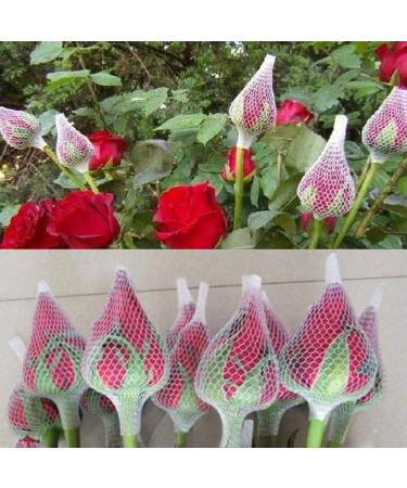 100-Part Reusable Make-Up Brush Protection Set | Expandable Network Coverage & Cosmetic Brush Care - Buy Online on GoSupps.com