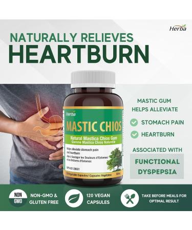 Herba Mastic Gum Capsules 500mg 120 Capsules | Natural Mastica Chios Gum Supplement for Stomach Pain Heartburn and Gastro Relief | Made in Canada - Buy Online on GoSupps.com