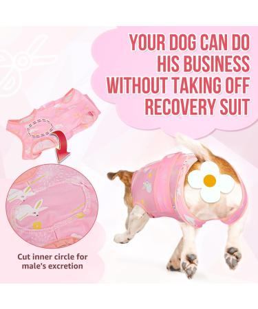 SlowTon Dog Surgery Recovery Suit Dog Cone E-Collar Alternative After Surgery with Zipper Professional Pet Recovery Shirt Dog Preventing Licking Spay Suit for Female Male Dog M Pink - Buy Online on GoSupps.com