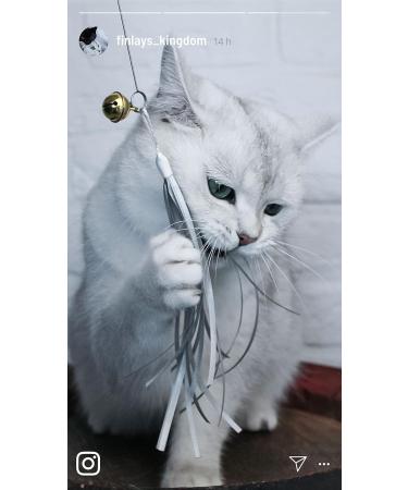 Premium Catslang Cat Toys | Natural Leather & Springs | 4-Piece Set for Cats | Handmade in Germany - Buy Online on GoSupps.com