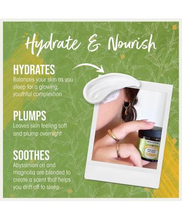 Beauty Kitchen - Hydrating Abyssinian Oil Hydra Boost Day Cream 60ml - Lightweight Anti Aging Moisturiser for Glass Skin - Supports Skin Barrier & Reduces Oil - Vegan/Cruelty Free - Buy Online on GoSupps.com